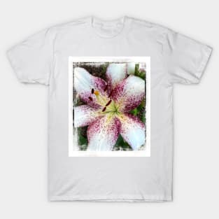 Lily In The Summer Garden - flower photography T-Shirt